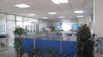 一呼百应公司频道网络技术研发 创新驱动与未来展望